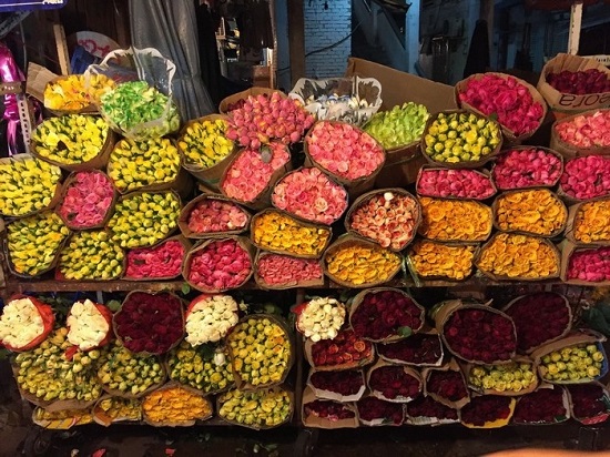 Các chợ hoa Tết nổi tiếng của Hà Nội
